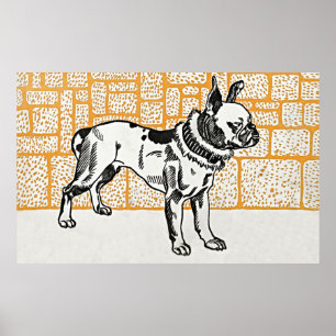 Poster vintage Pitbull Terrier - Moriz Jung Art