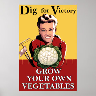 Poster vintage pour Victory