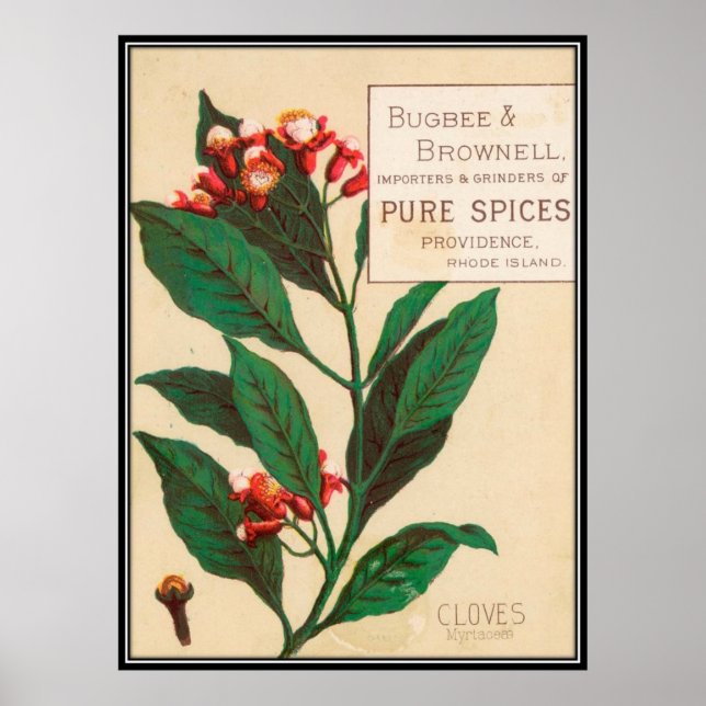 Poster Vintage : publicité alimentaire - (Devant)