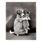 Poster vintage Puppy et Kitten
