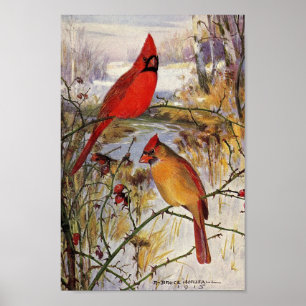 Poster Vintage Robert Bruce Horsfall Cardinal