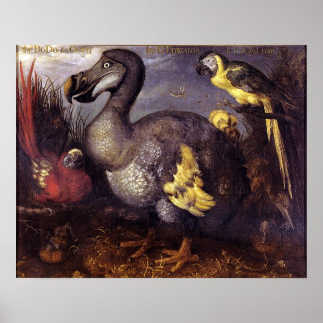 Poster Vintage Roelant Savery Saveries Dodo (Devant)