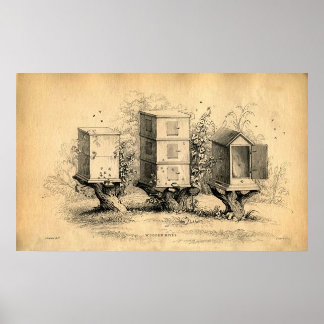Poster Vintage ruches apicoles Imprimer (Devant)