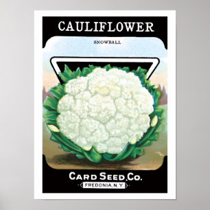 Poster Vintage Seed Packet Étiquette Art, Cauliflower Lég