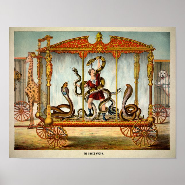 Poster vintage Snake Wagon (Devant)