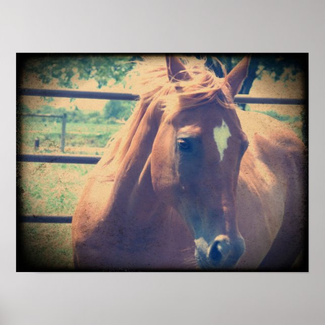 Poster Vintage Sorrel (Devant)