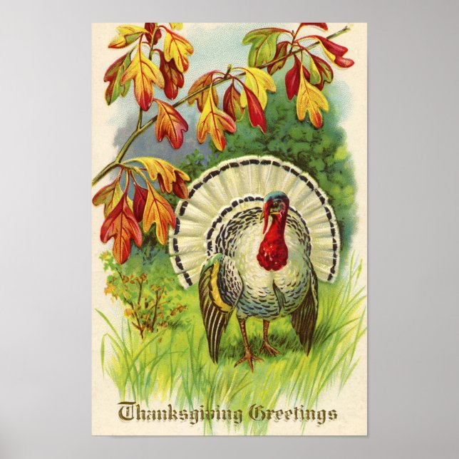Poster Vintage Thanksgiving Turquie (Devant)