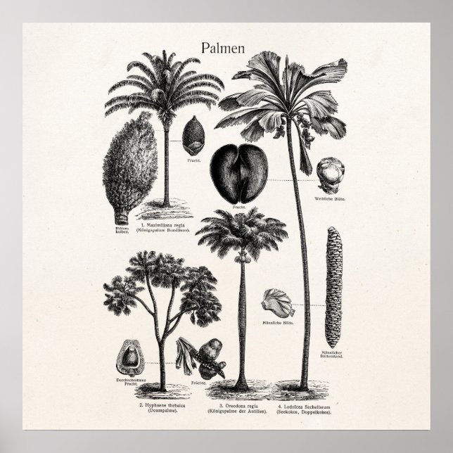 Poster Vintage Tropical Island Palm Tree Modèle vierge (Devant)
