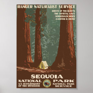 Poster Vintage voyage de parc national de séquoia