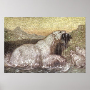 Poster Vintage Wild Animals, Polar Bears by Louis Sargent