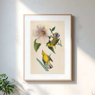 Poster Vintage Yellow Birds On Flower Illustration