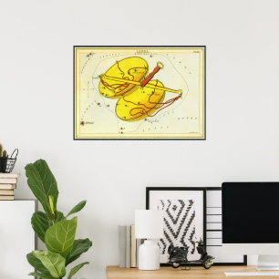 Poster Vintage Zodiac Astrologie Librairie Échelle Conste