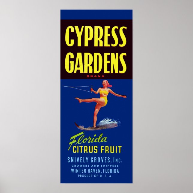 Poster Vintages Cypress Gardens Floride Agrumes (Devant)