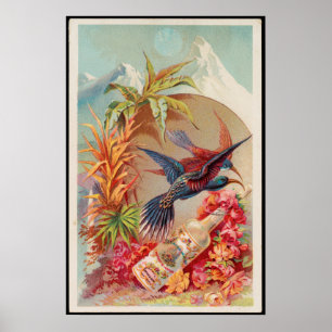 Poster Vintages oiseaux tropicaux Florida Water Advertise