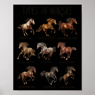 Poster Vintages Rétro Types De Chevaux Cheval Cheval race