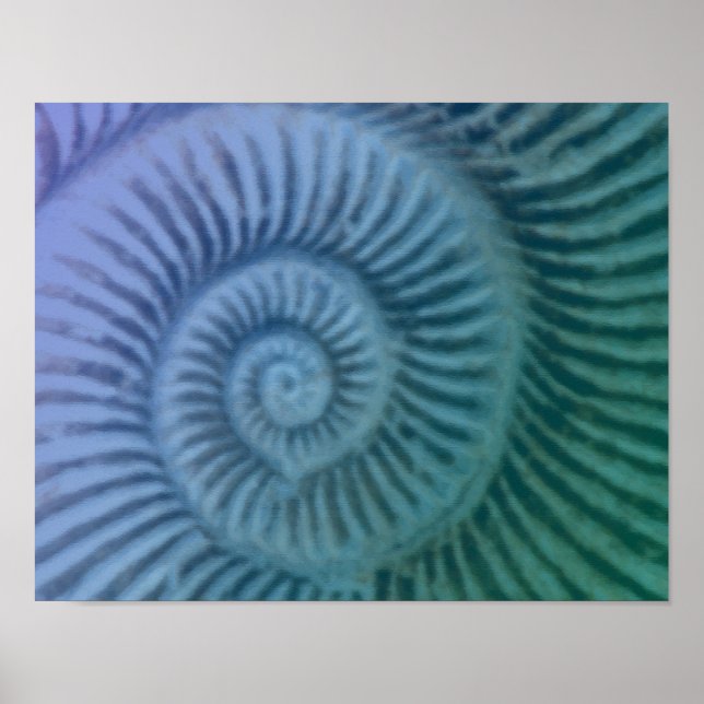 Poster Violet et vert Spiral Ammonite Fossil Art Imprimer (Devant)