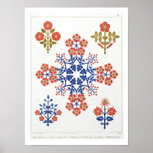 Poster Violiet, iris et papier peint à motif tulipe, pr