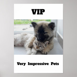 Poster VIP Très Impressionnant Animaux de compagnie Migno