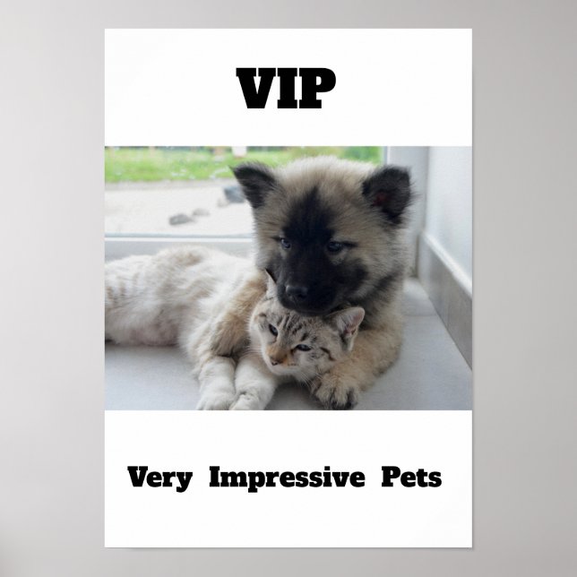 Poster VIP Très Impressionnant Animaux de compagnie Migno (Devant)
