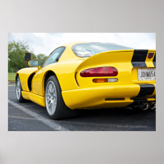 Poster Viper