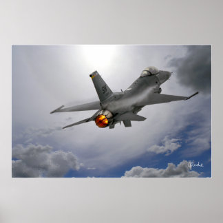 Poster Viper dans le soleil