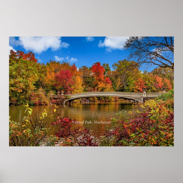 Poster virginia5050 (Devant)