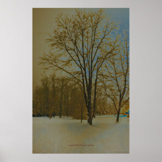 Poster Virginie-Occidentale en neige