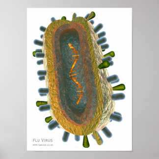 Poster Virus de la grippe