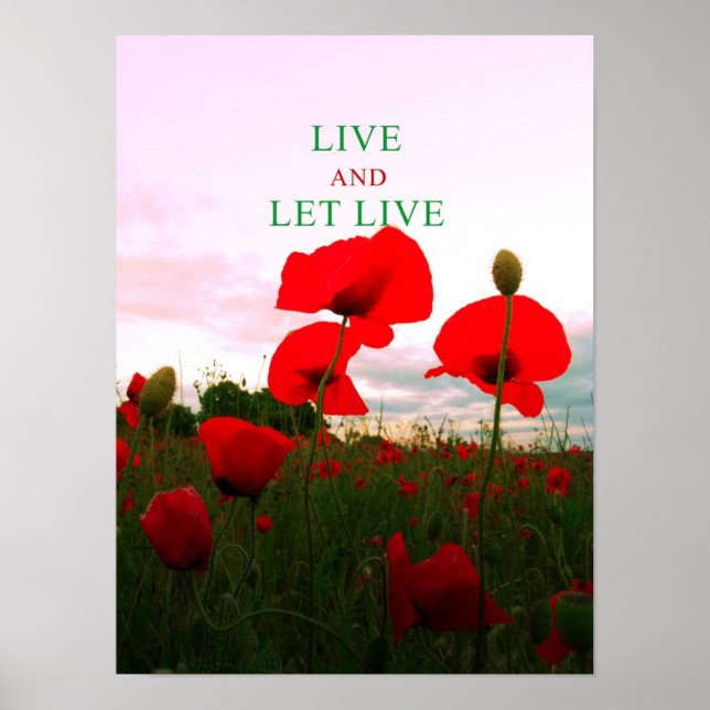 Poster Vis et laisse vivre (Devant)