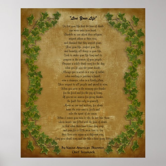 Poster "Vis ta vie" par le chef Tecumseh (Devant)