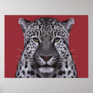 Poster Visage animal léopard dans le style cinématique.