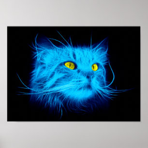 Poster Visage de chat bleu