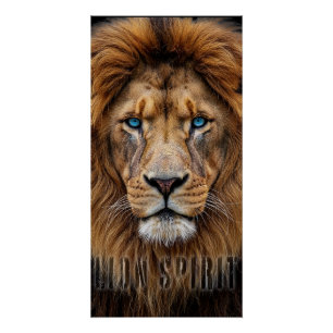 Poster Visage de lion majestueux aux yeux bleus   Faune A