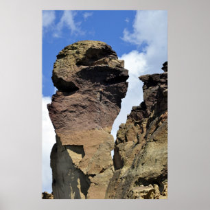 Poster Visage de singe