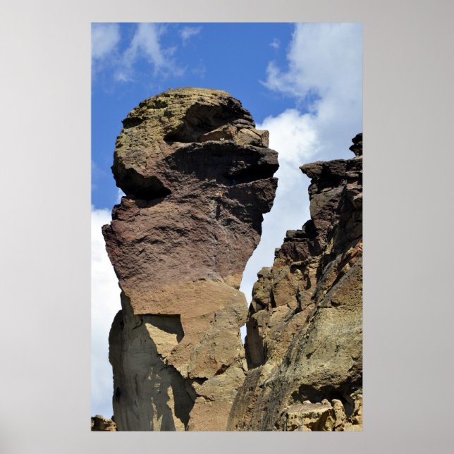 Poster Visage de singe (Devant)