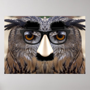 Poster Visage drôle de chouette avec masque