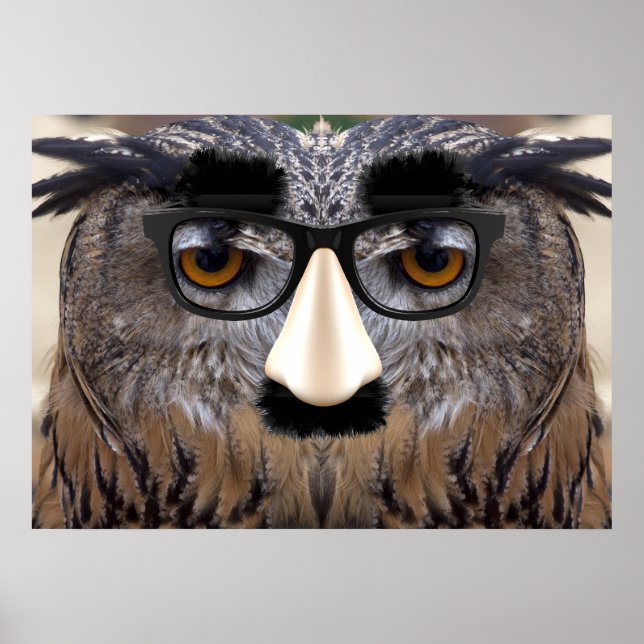 Poster Visage drôle de chouette avec masque (Devant)