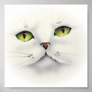 Poster visage du chat
