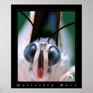 Poster Visage papillon