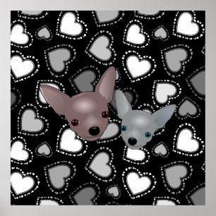 Poster Visages de Cute Chihuahua