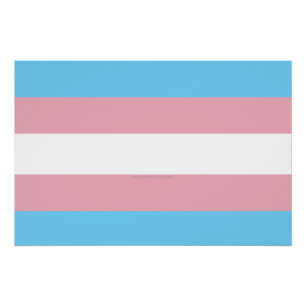 Poster Visibilité du drapeau de fierté transgenre de Slip