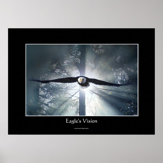 Poster Vision d'Eagle Forêt humide Imaginaire de faune Ar (Devant)