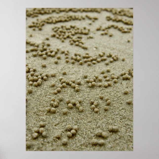 Poster Visions sur la plage Imprimer (Devant)