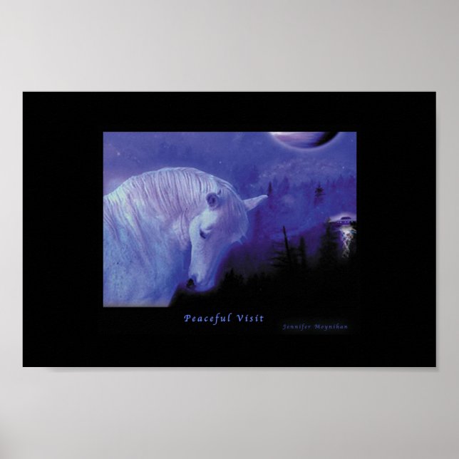 Poster Visite tranquille (Devant)