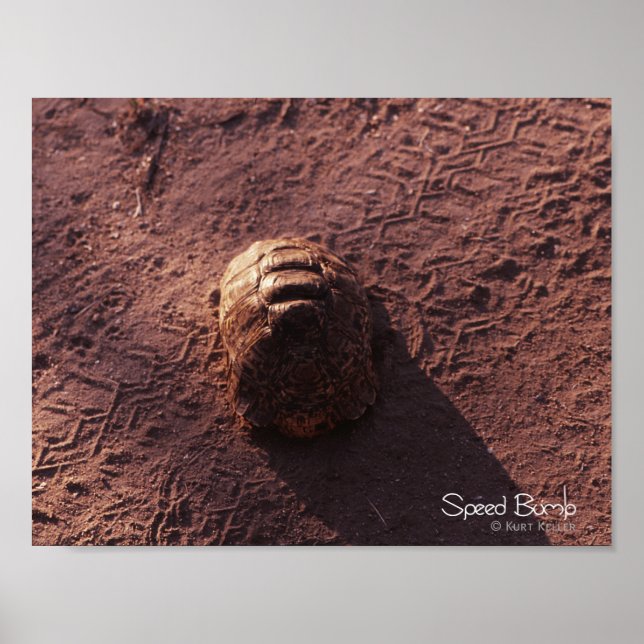 Poster Vitesse (Devant)