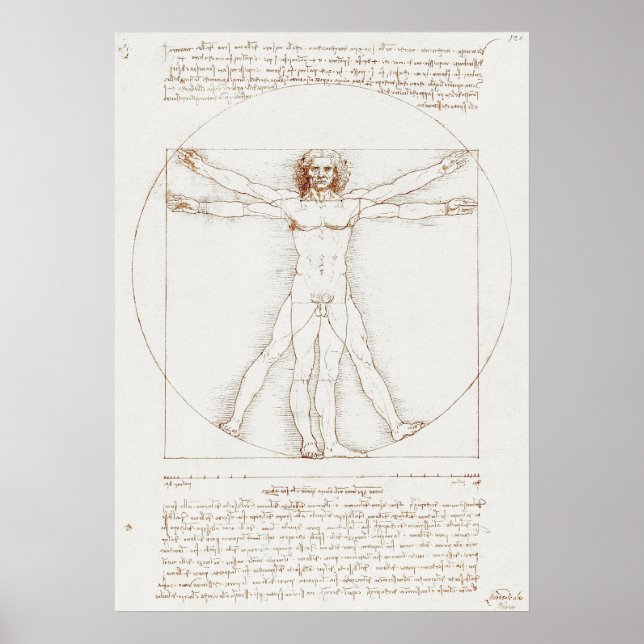Poster Vitruve Homme Da Vinci (Devant)