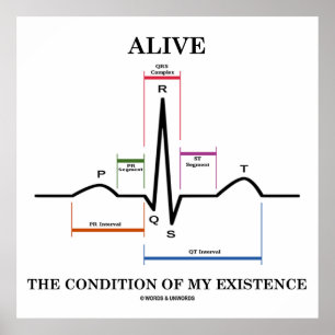 Poster Vivez La Condition De Mon Existence (ECG/EKG)