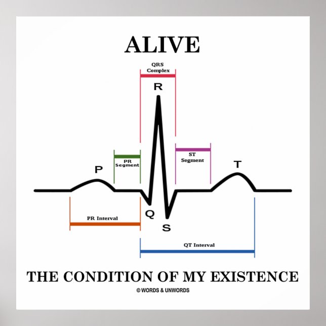 Poster Vivez La Condition De Mon Existence (ECG/EKG) (Devant)