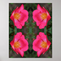 Vivid Pétales rose Abstrait Art Floral