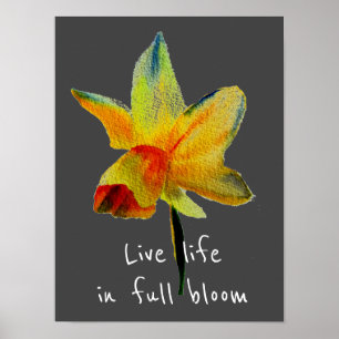 Poster Vivre en pleine floraison Jaune Daffodil Printemps
